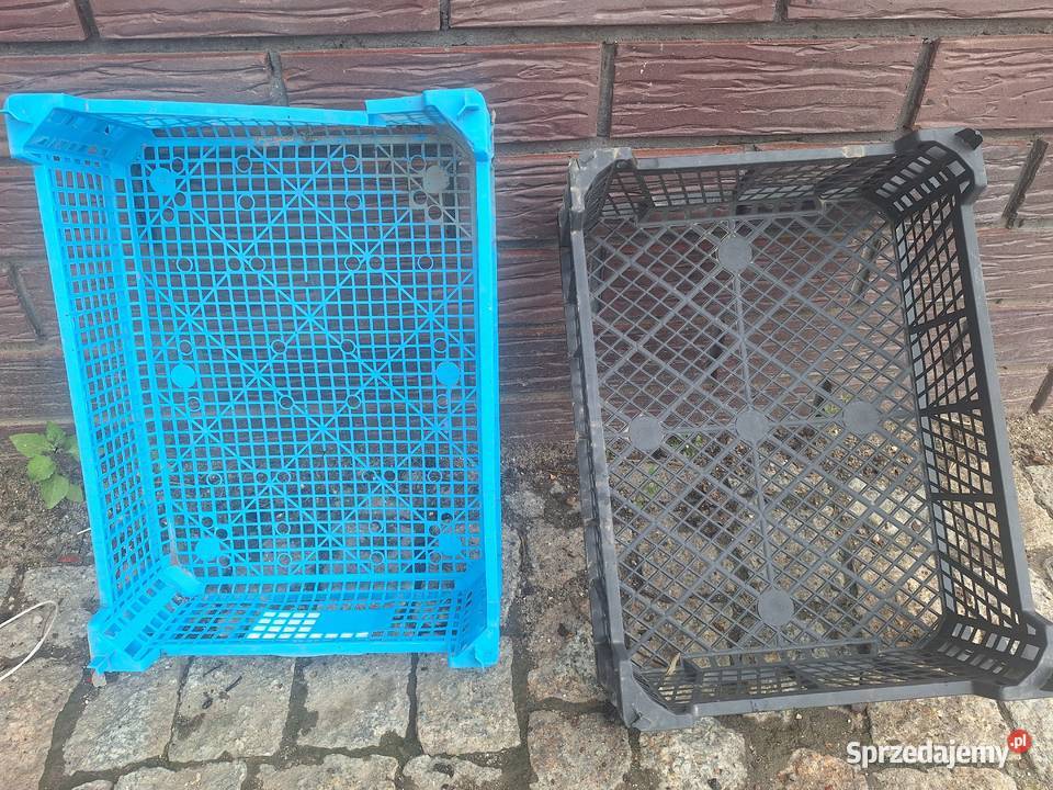 Skrzynki plastikowe Warszew sprzedam