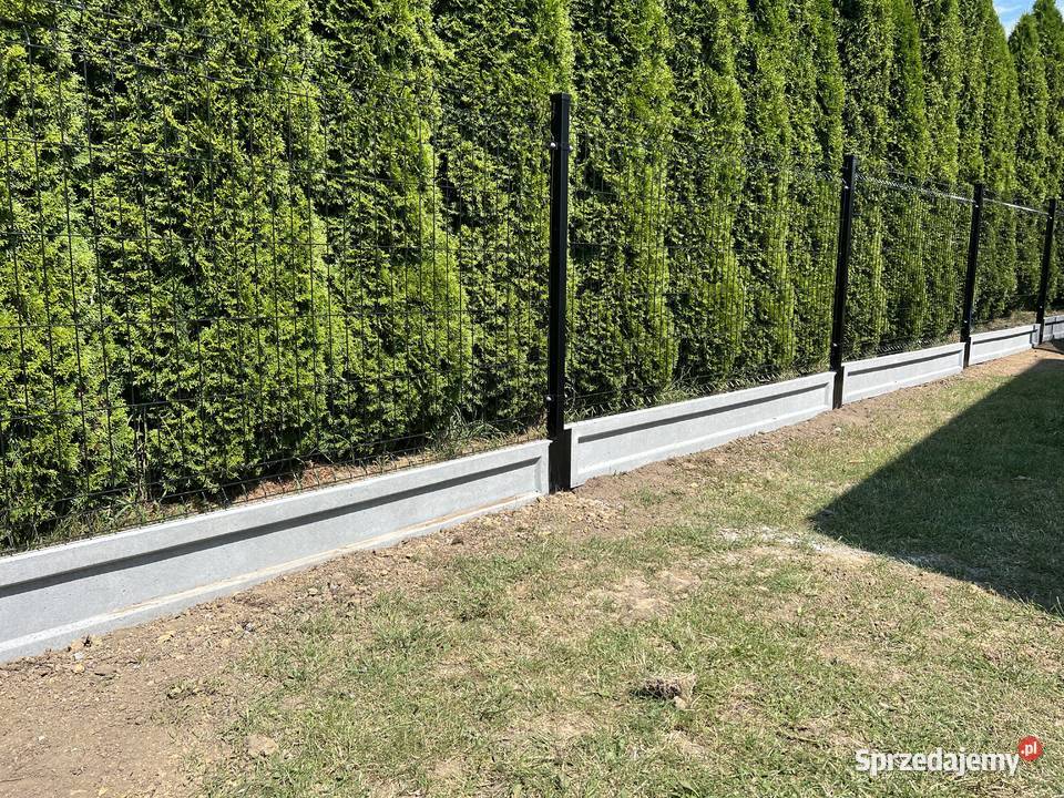 Ogrodzenia Panelowe Dostawa Montaż Bramy Furtki Gaj