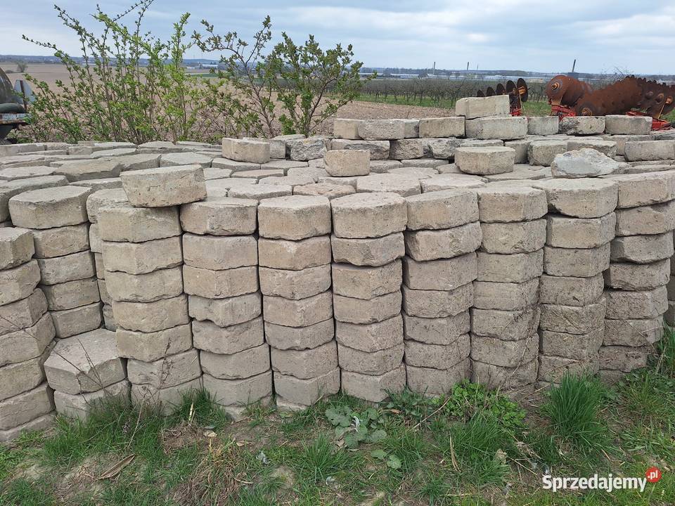 Trylinka sześciokątna Pozostałe Warszew