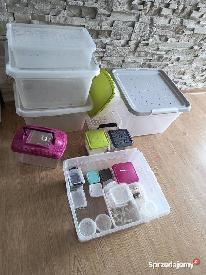 pudelka pojemniki boxy hodowlane terrarium śląskie Bielsko-Biała sprzedam
