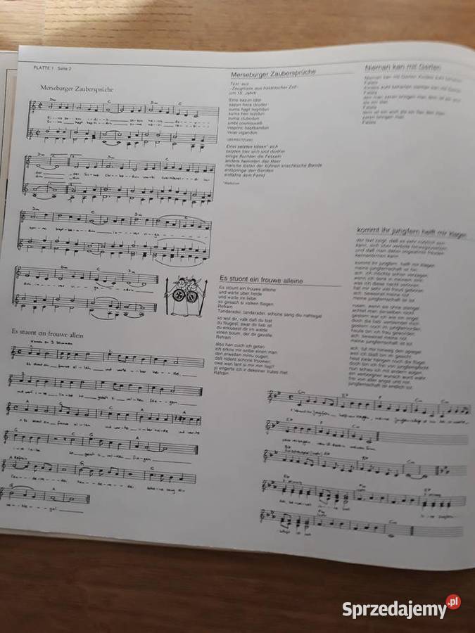 Muzyka niezwykła OUGENWEIDE Liedebuch 19762LP Rzeszów