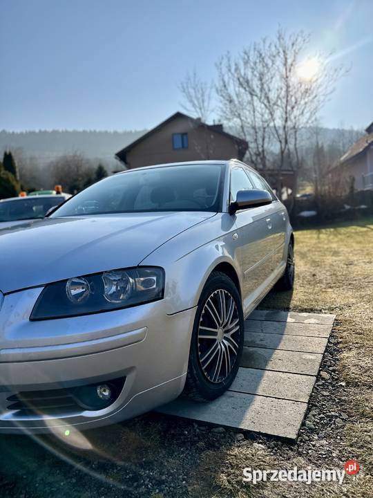 Audi A3 20 TDI 190 2006 Zadbane Bezwypadkowe Sucha Beskidzka