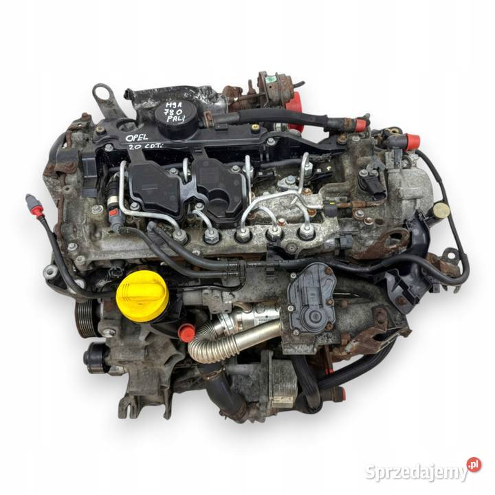 SILNIK M9R780 Opel Vivaro Renault Trafic Nissan Chełm