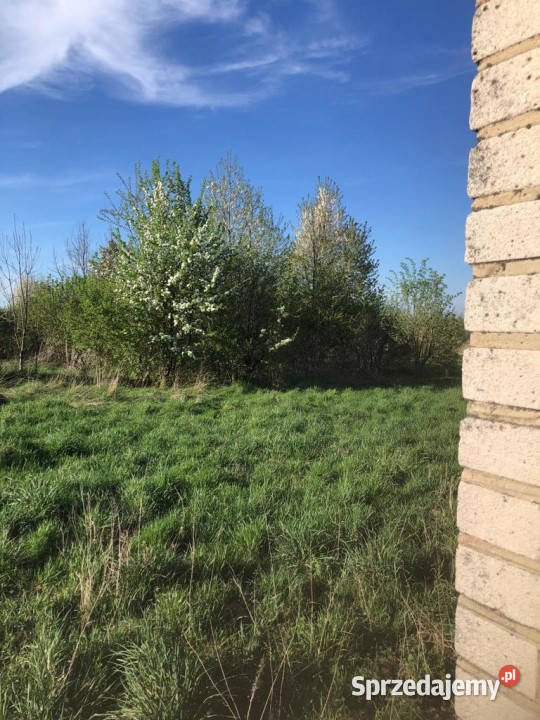 Anielpol działka 5200m2 lubelskie