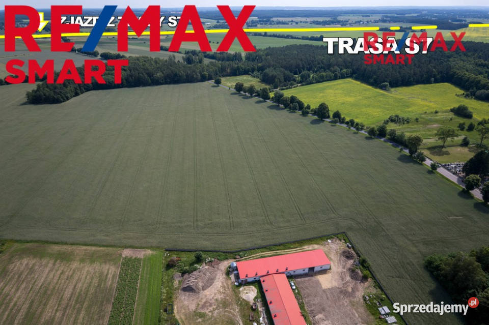 901 ha MPZP produkcja logistyka 1 S7 Białuty