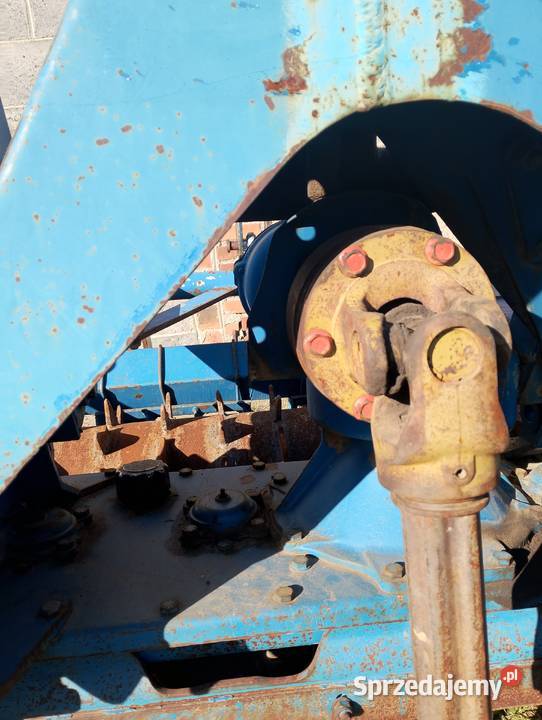 Brona Aktywna Bieganowo