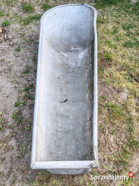 WANNA PRL OCYNK Konin