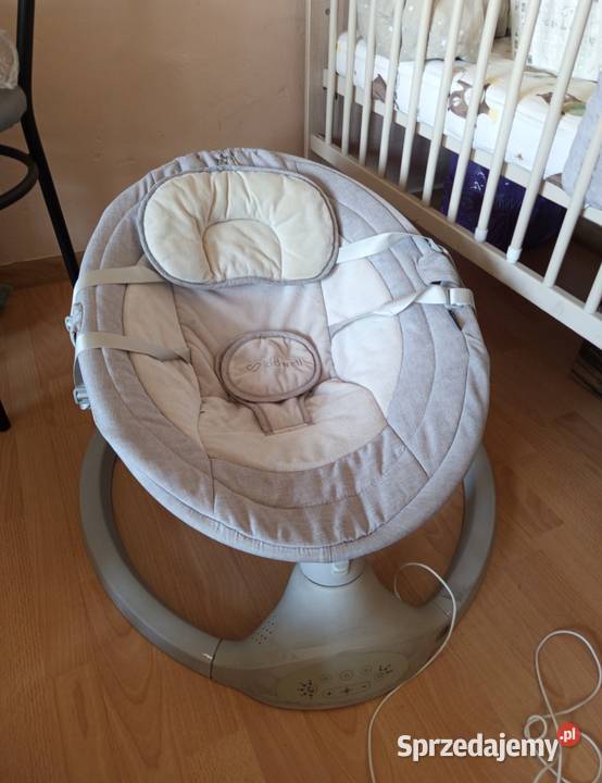 Bujaczek dziecka Babiak