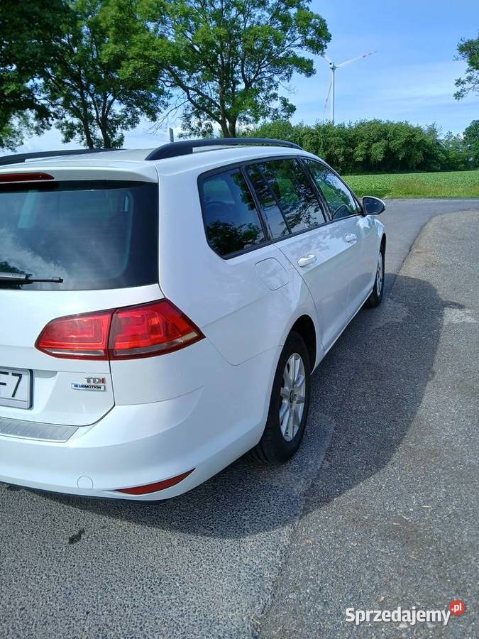 Volkswagen Golf VII Kombi 16 TDI nieuszkodzony Zagrodno
