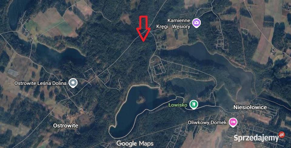 Kompleks leśny 58 ha Sosna 75 lat Gmina 8zł/m2 Pruszcz Gdański