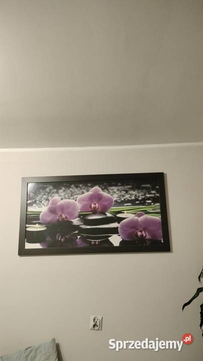 Łóżko z materacem Katowice