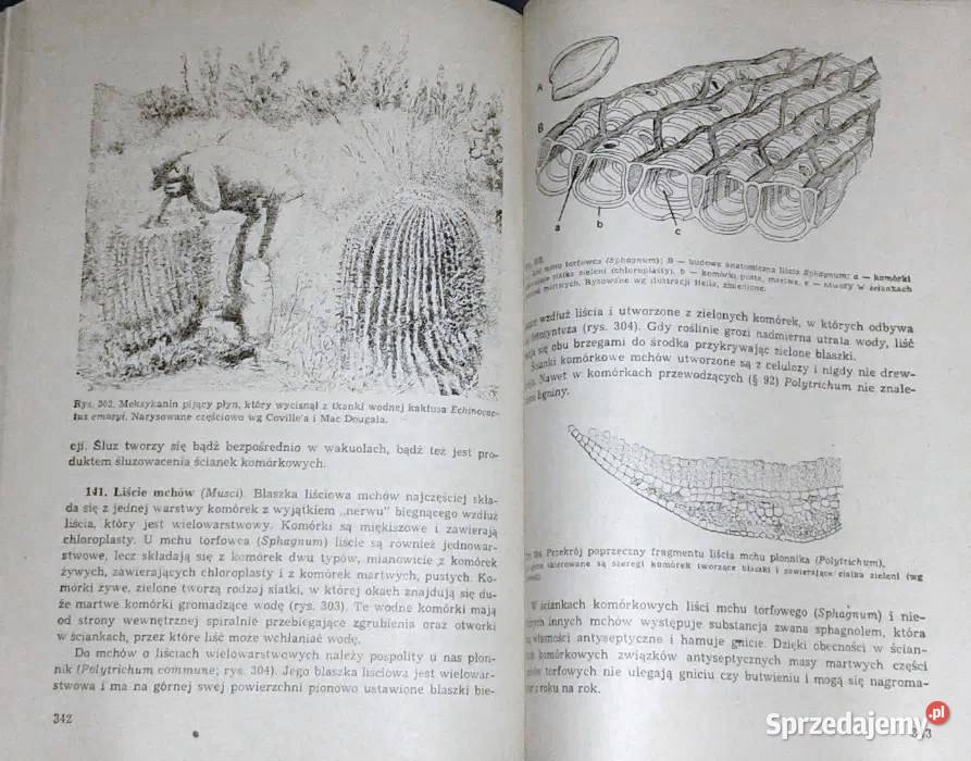 Anatomia roślin Edmund Malinowski lubelskie Chełm