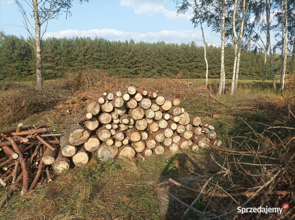 Drewno opałowe sosna Drewno opałowe sosna