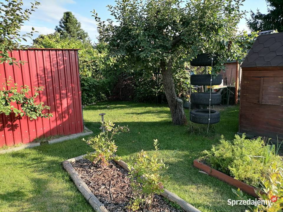 Działka ROD Fiołek dolnośląskie Wrocław