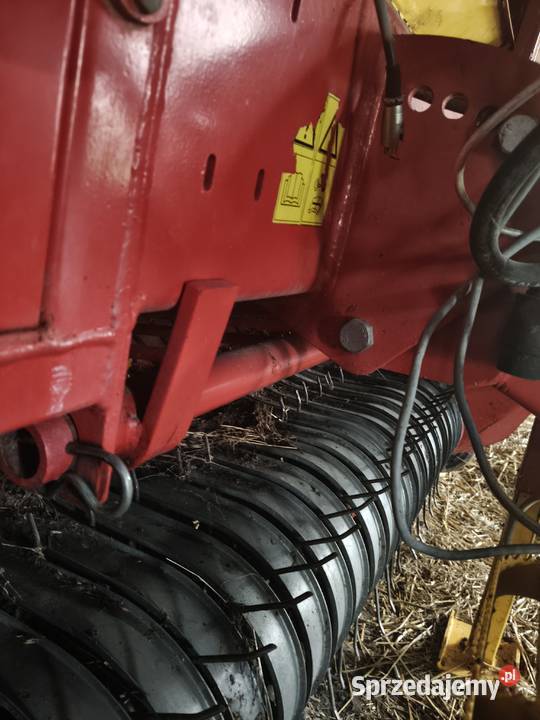 Prasa belująca Arbasy