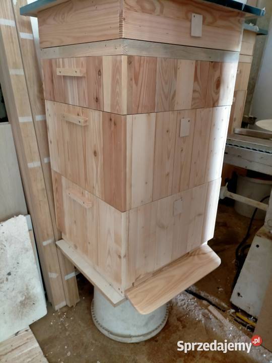 Ule wielkopolskie 10 ramkowe