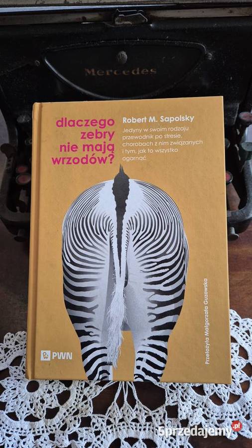 Robert MSapolsky Dlaczego zebry nie mają wrzodów Katowice sprzedam
