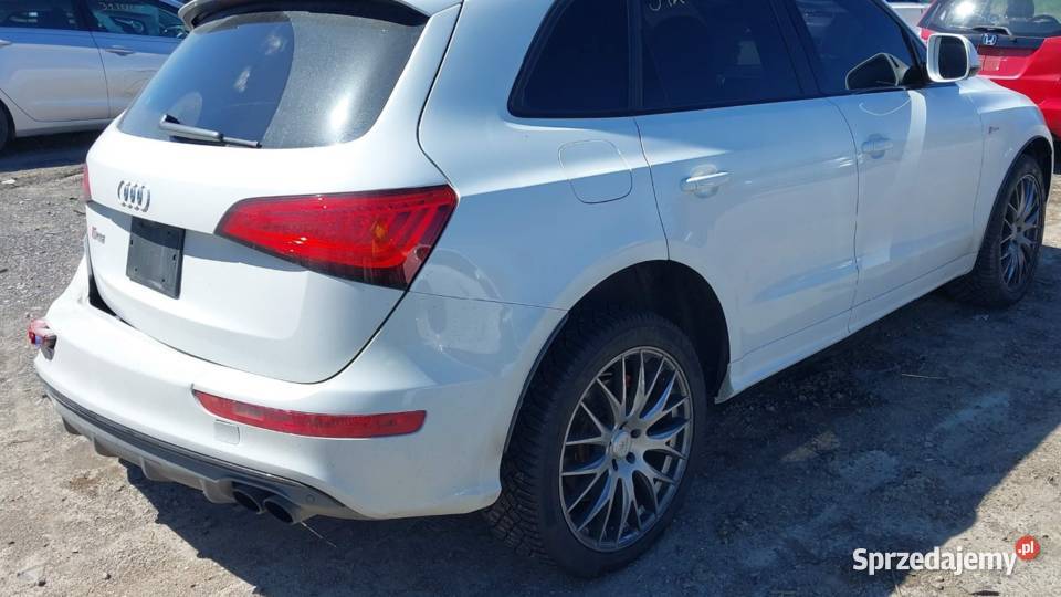 Audi SQ5 30V6T 360 SQ5 Kłodawa