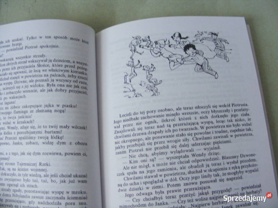 Test Z Lektury Przygody Filonka Bezogonka Przygody Filonka Bezogonka Pierścień i róża Przygody Piotrus Oborniki