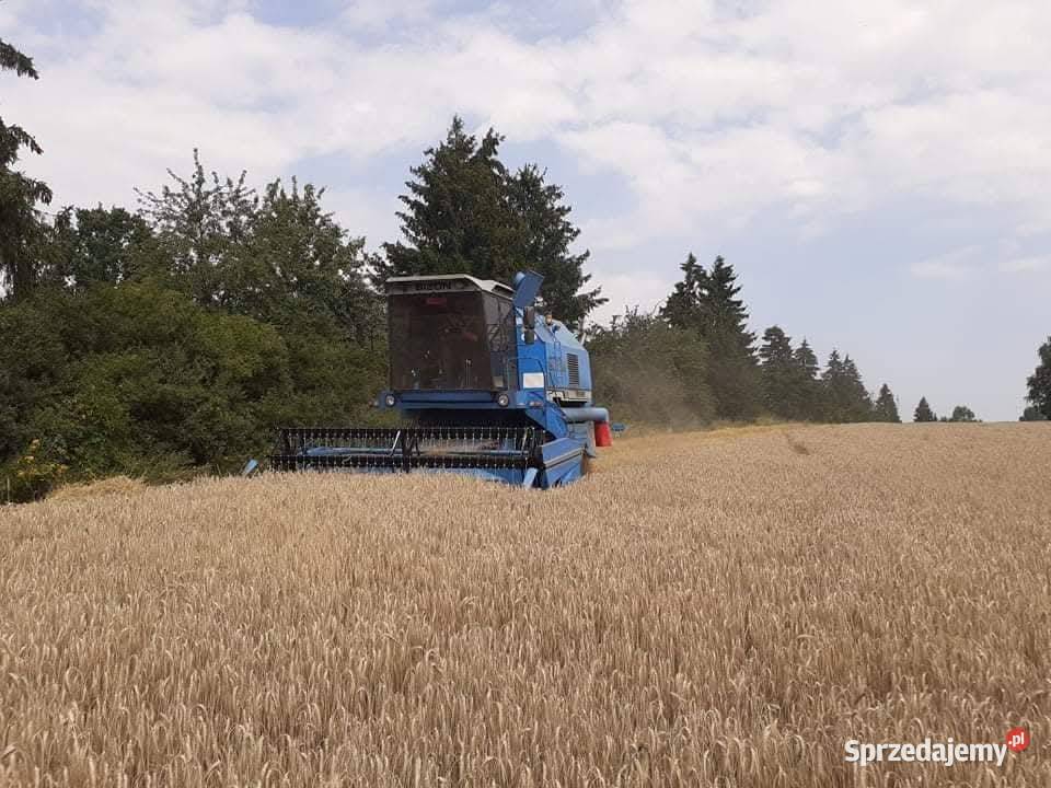 Bizon rekord z058 x2 Rozprza