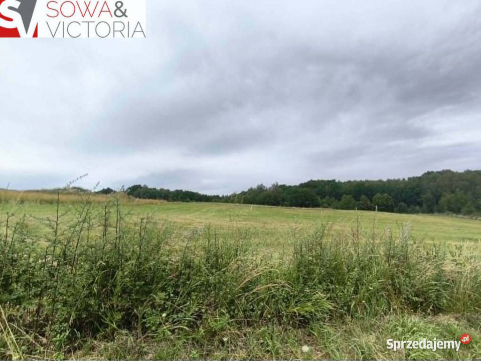 Panoramiczny widok na szczyty gór ok 1 PKP