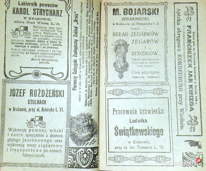 Dziecko ptaka przyniesione Andrzej Kijowski Chełm sprzedam