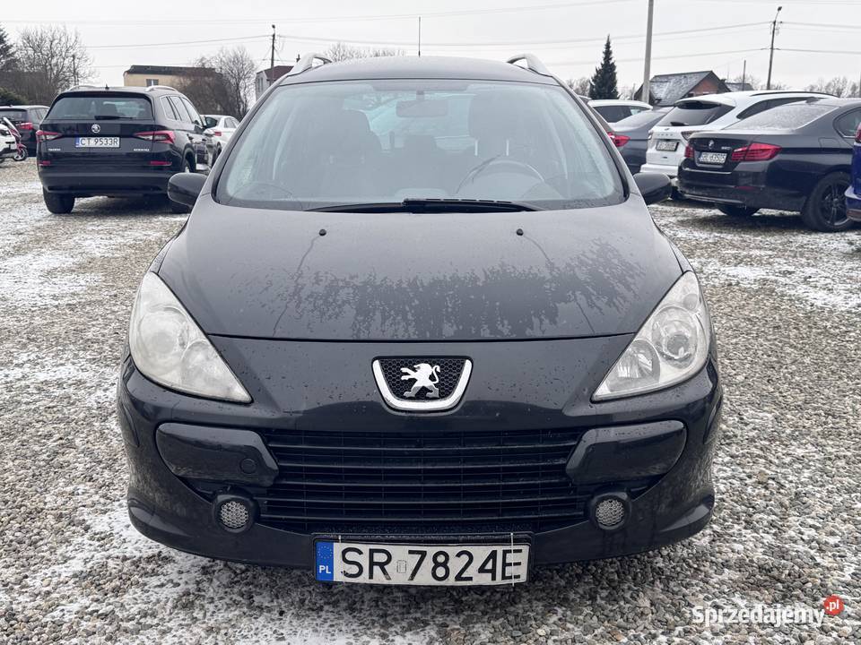 Peugeot 307 komputer pokładowy Paniówki