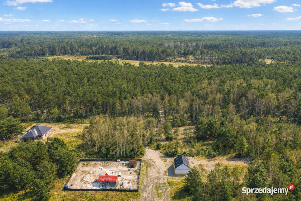 Działka budowlana ścianie lasu utwardzona