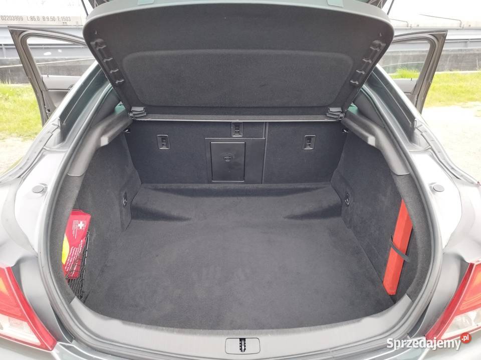 Opel Insignia Lipsko