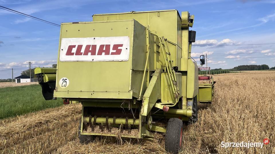 Claas Dominator 85 gotowy do żniw Stara Błotnica