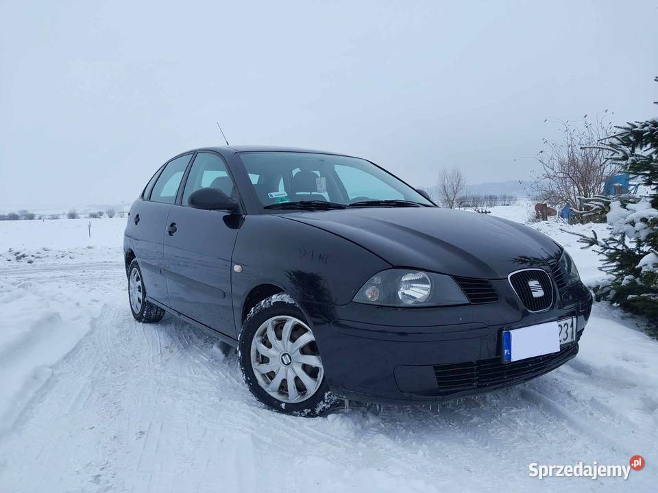Seat Ibiza 14 benzyna 2004 Sprawna Klima Przeworsk sprzedam