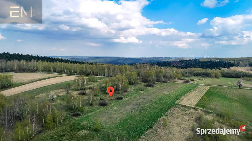 Grunt 4700m2 Gwoźnica Górna