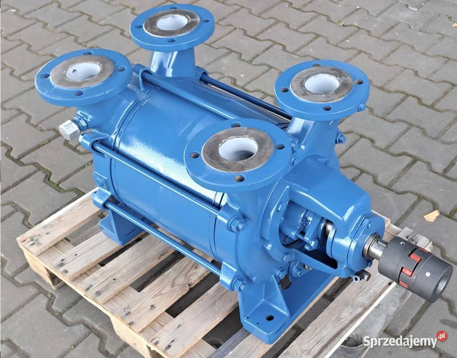 Pompa próżniowa z pierścieniem wodnym ROBUSCHI