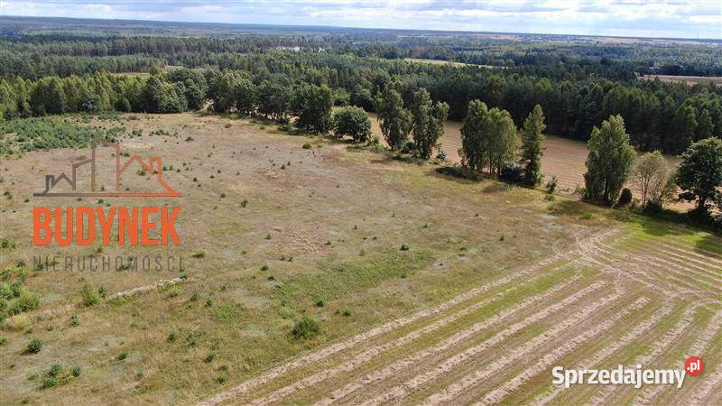 Działka siedliskowa Parchowo 8zł/m2 pomorskie