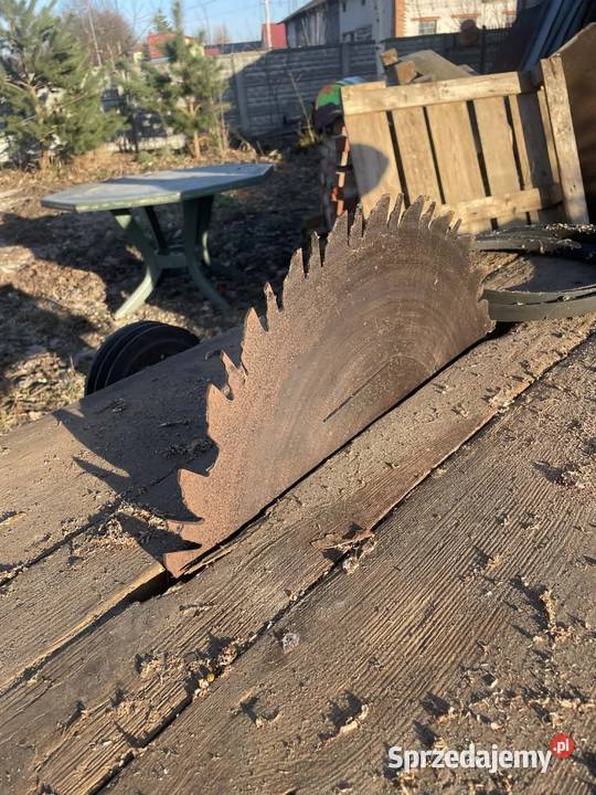 Krajzega na pas klinowy Pabianice