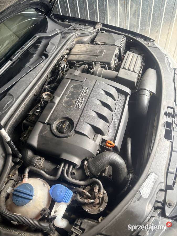 Audi A3 8P 20 TDI quattro ESP A3 Czystogarb