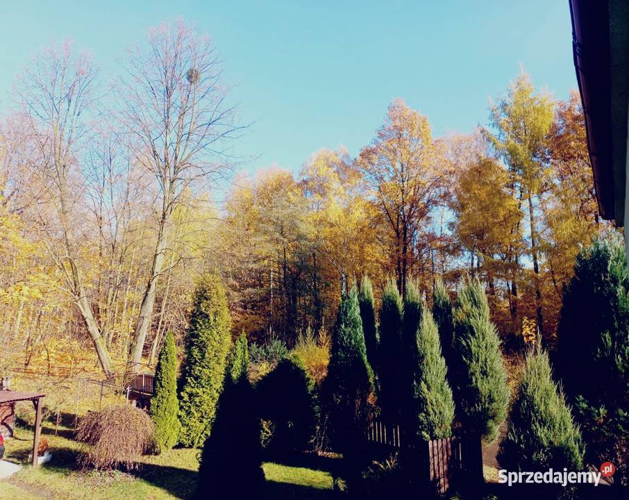 Sprzedam Dom z lasem w Przyszowicach Przyszowice
