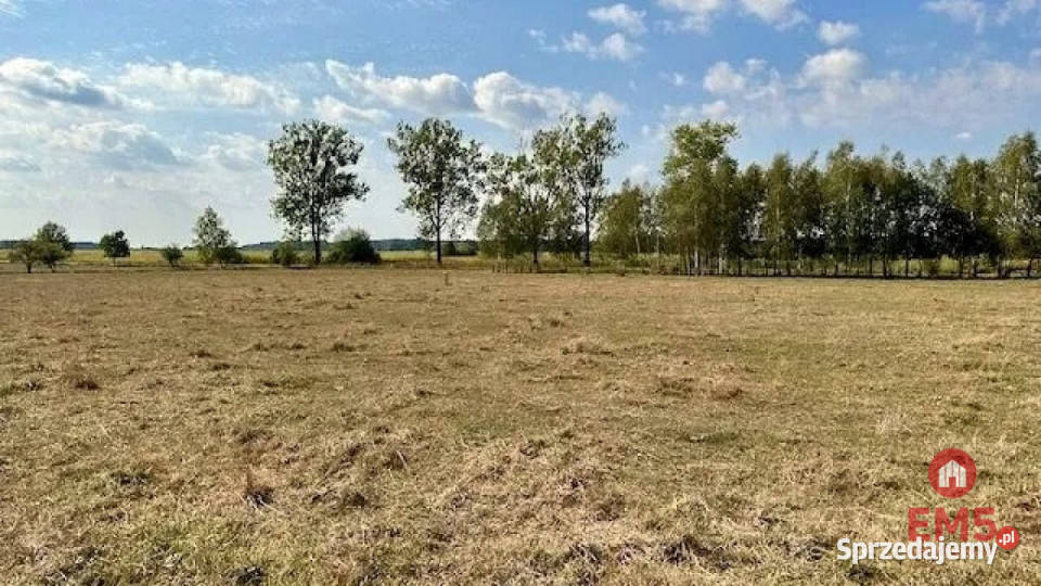 Grunt Rafałówka 1000m2 sprzedam