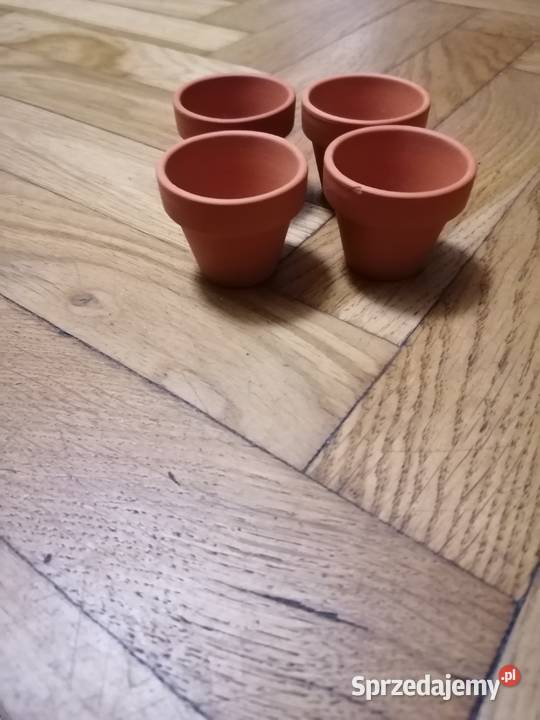 Małe doniczki do sadzenia pomorskie Gdańsk