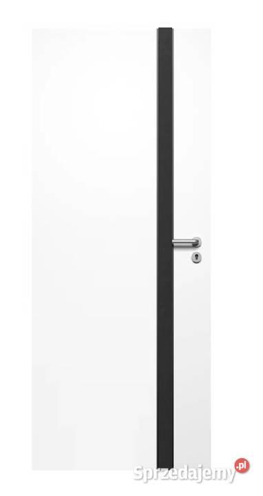 Drzwi bezprzylgowe Loretto DEFENDOOR szkło 80cm Poznań