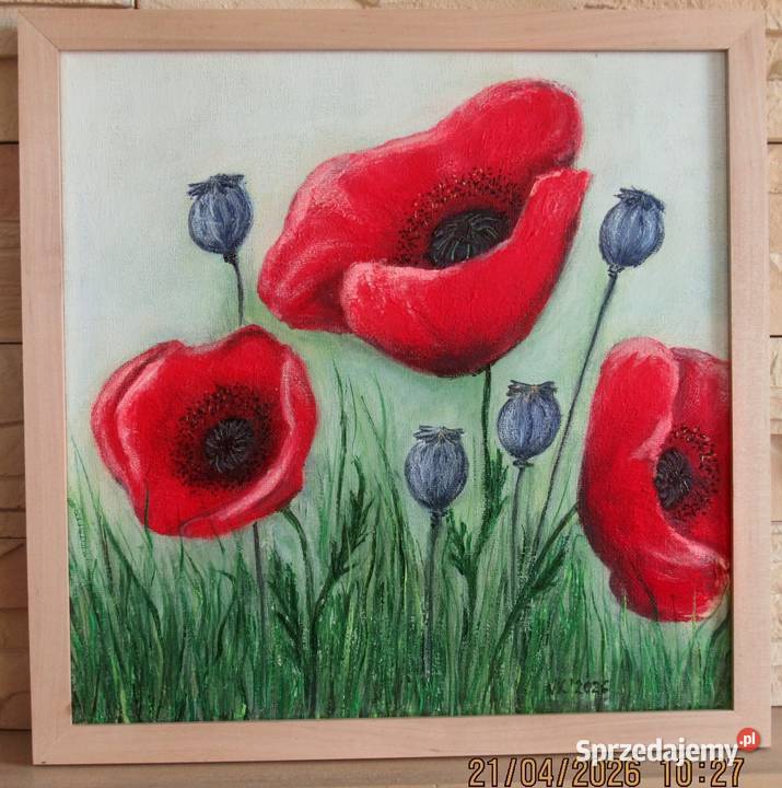 Czerwone maki lubelskie Bychawka Trzecia