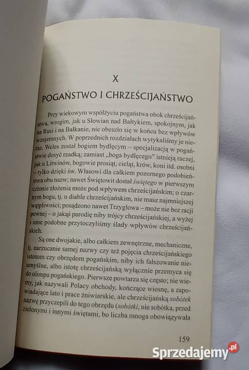 Aleksander Brueckner Mitologia słowiańska Koźminek sprzedam