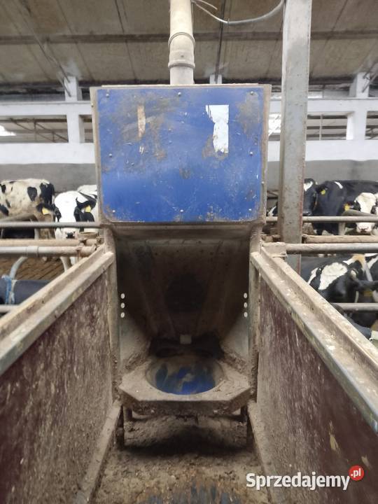 Hala udojowa de laval rybia ość 2x7 stacja pomorskie Kościerzyna sprzedam