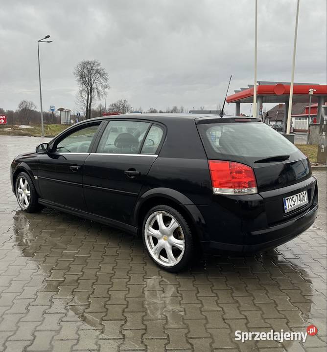 Opel Signum 19 diesel 2005r Pilzno