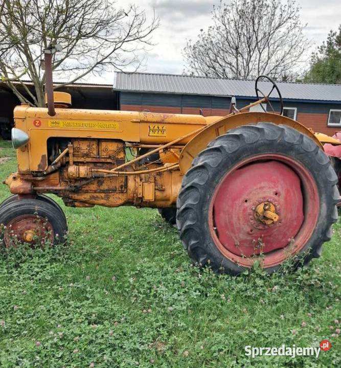 Traktor MINNEAPOLIS MOLINE Z kujawsko-pomorskie Gniewkowo