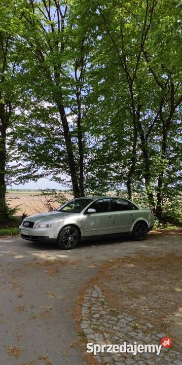 Audi a4 b6gaz