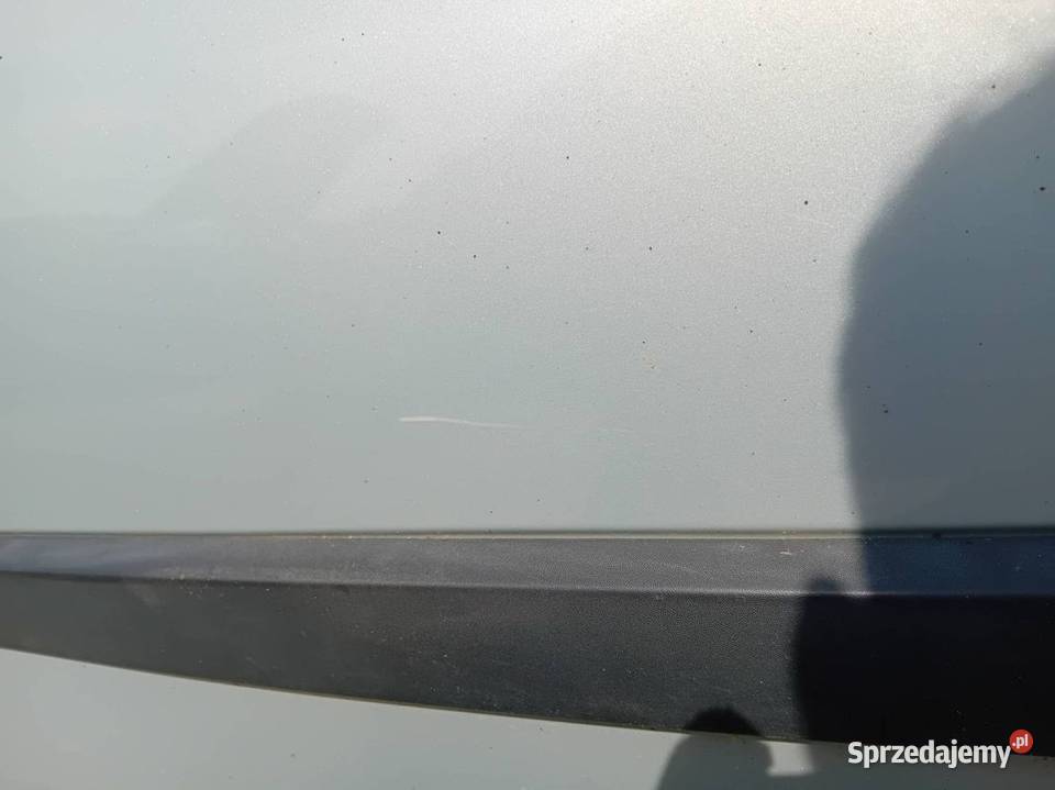 DRZWI PRAWE TYŁ RENAULT SCENIC II osobowe kujawsko-pomorskie Lipno