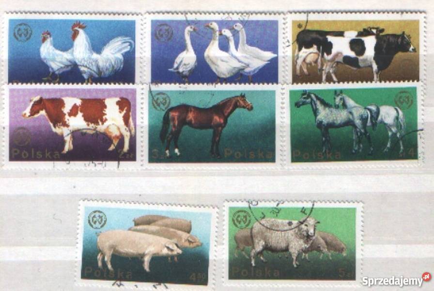 Zn Fi 2231 8 kas 1975 Gliwice