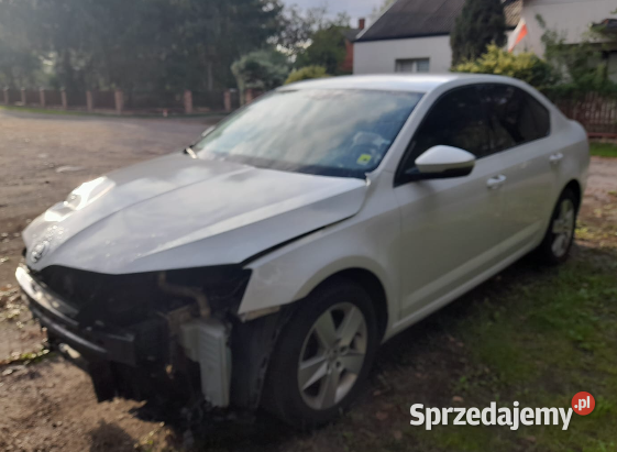 Skoda Octavia 20 2019 uszkodzona Rok produkcji 2019 mazowieckie Olszowiec
