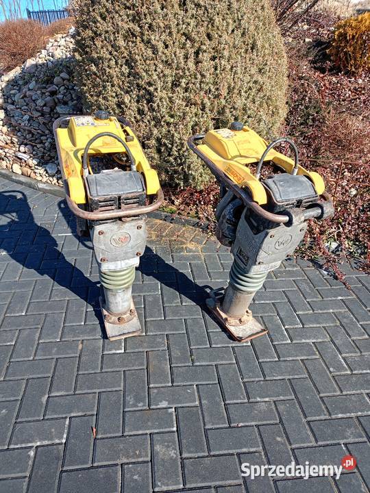 Skoczek Wacker Neuson ubijak zageszczarka Miechów